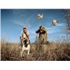 Image 2 : Southern Quail Hunting Getaway for Two at Prairie Wildlife
