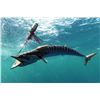 Image 1 : Deep Sea Fishing Adventure with Matthews Custom Yachts
