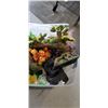 Image 2 : TOTE OF FISH TANK ACCESSORIES