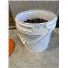 Image 2 : BUCKET OF BELGIUM CHOCOLATE