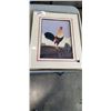 Image 1 : FRAMED PAINTED ROOSTER PRINT
