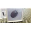 Image 2 : NEW 21.9CT NATURAL RUBY GEMSTONE, UNTREATED, OVAL CUT - RETAIL $5250