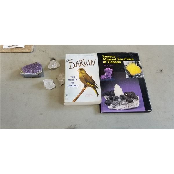 LARGE AMETHYST CHUNK, 2 QUARTZ CHUNKS, AND MINERAL AND DARWIN BOOK