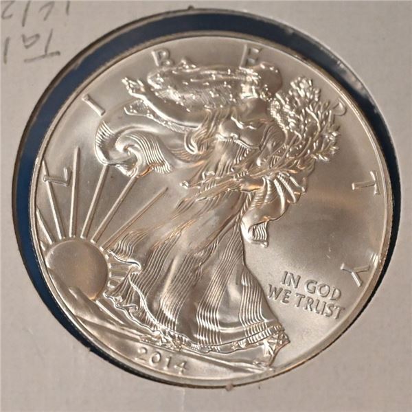 USA 2014 Sliver Eagle 1 toz fine .999 Sliver (Tax Exempt) AU 50