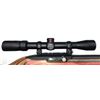 Image 4 : Ruger 10- 22 Target Rifle 22 lr - Hammer Forged Barrel & Scope