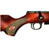 Image 3 : CZ 457 Canadian Edition Bolt Action Rifle 22 Magnum c/w Vortex Scope