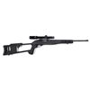 Image 1 : Ruger 10-22 in ATI FibreForce Dragunov Stock 22 lr c/w Bushnell Scope