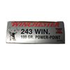 Image 1 : 243 WIN Winchester - 100 Grain PP