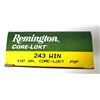 Image 1 : 243 WIN Remington PSP - 100 Grain NIB