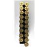 Image 1 : 45-70 GOVT Brass Lot x19 Casings