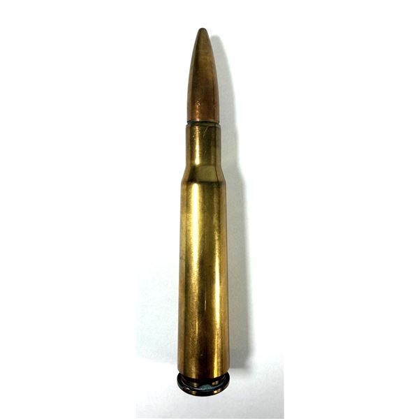50 CAL Rifle Round