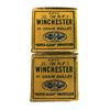 Image 3 : 22 WRF Dominion VINTAGE x85 Rounds w/ Boxes