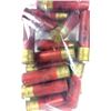 Image 1 : 10 Gauge x18 Shells