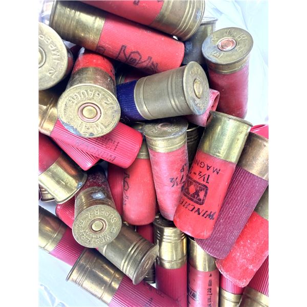 12 Gauge Shell Mixed LOT x45