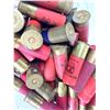 Image 1 : 12 Gauge Shell Mixed LOT x45