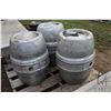 Image 2 : Three aluminum beer kegs