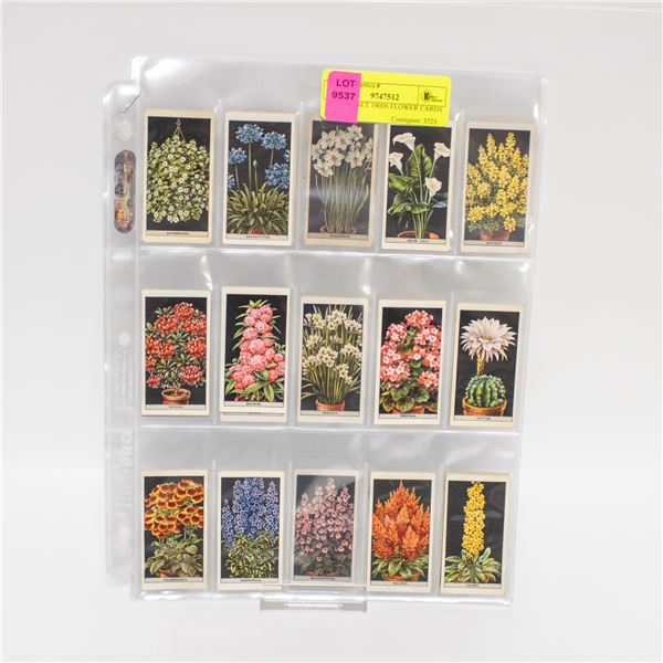 PARTIAL SET 1900S FLOWER CARDS