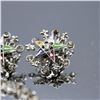 Image 5 : EASTERN STAR MASONIC BROOCH SET 19550S