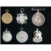 Image 10 : John Millar Thomson Medal for Chemistry, with family 1914-18 War Medal