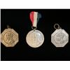 Image 11 : John Millar Thomson Medal for Chemistry, with family 1914-18 War Medal