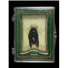 Image 1 : Upper Deck Entomology Card, with Preserved Giant Blue Bee