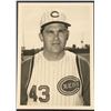Image 1 : 1966 CINCINNATI REDS PUBLICITY PHOTO - DON NOTTEBART