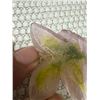 Image 17 : Daum France Pate de Verre Glass Art Vase w/ Purple & Green Roses 4.5" Dia, 7"H (2 Detached Roses)