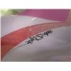 Image 2 : Original Reverse Painting on Plexiglass, Signed by Ned Moulton 1985, 49.5" x 38.5" (Damaged Mat)