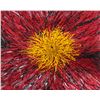Image 6 : Original Ruby Passion Oil on Canvas by Artist Helen Petri w/ COA 21" x 21" Unframed, Unstretched