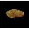 Image 1 : 0.67ct Fancy Color Rough Diamond (GEM-12764F)