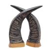 Image 2 : Rare Large Water Buffalo Horn Pair (CLB-361)