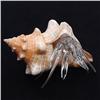 Image 1 : Hand Formed Glass Hermit Crab  (DEC-264)