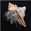 Image 2 : Hand Formed Glass Hermit Crab  (DEC-264)