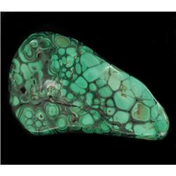 580ct Hi Grade Polished Green Malachite (GEM-20396)