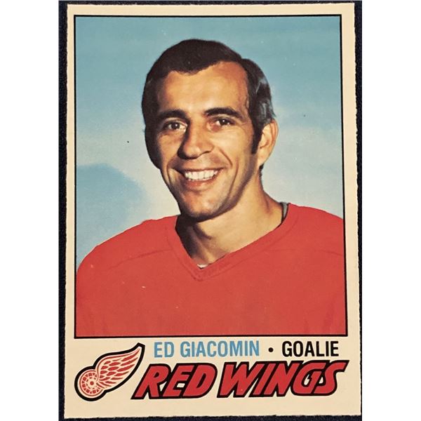 1977-78 O-PEE-CHEE NHL ED GIACOMIN (HOF)