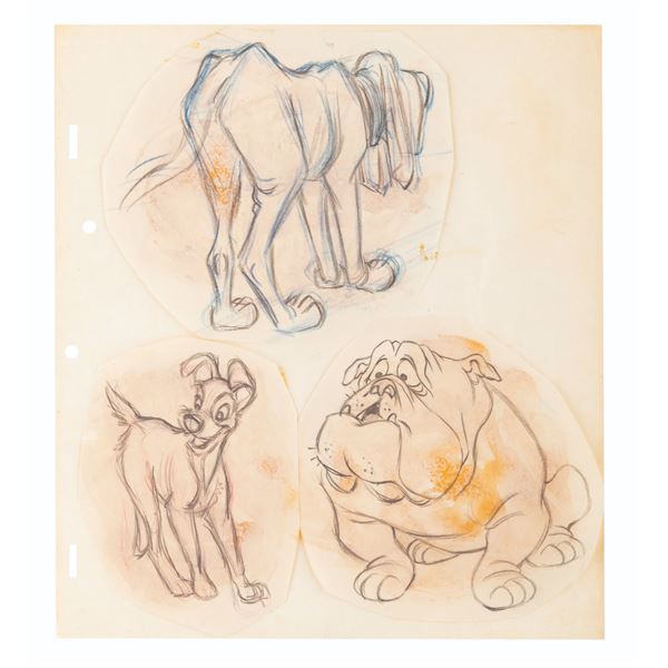 A Trio of "Lady and the Tramp" Character Sketches.