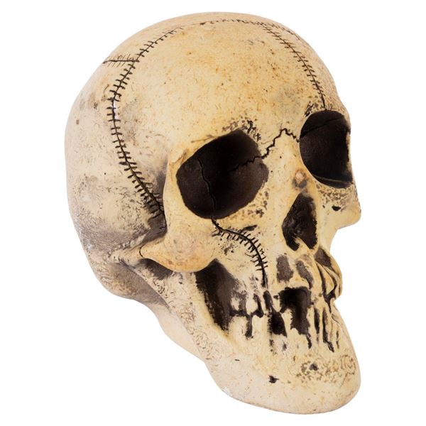 A Randotti Large Souvenir Skull.