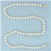 Image 1 : Cultured Akoya Pearl Strand Necklace with 14k Yellow Gold Filigree Clasp