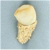 Image 1 : Vintage Large Animal Tooth Pin in 10k Yellow Gold