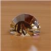 Image 2 : Swarovski Crystal 5135901 SCS PW Lionn Head Membership Gift with Box