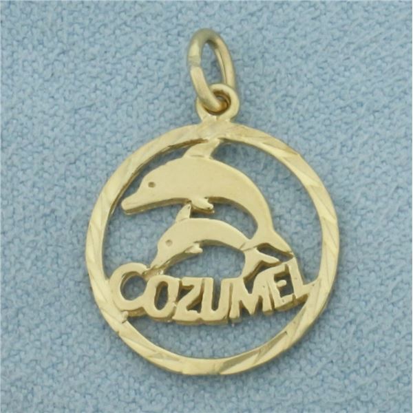 Cozumel Dolphin Charm in 14k Yellow Gold