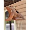 Image 2 : Frog Wind Chime