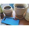 Image 4 : Gardening Supplies Lot