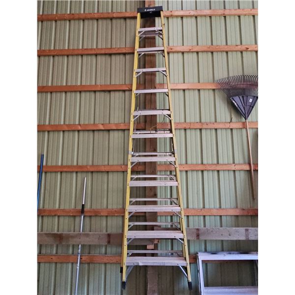 Werner Fiberglass Ladder