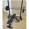 Image 1 : Adjustable AresFit Bench, Squat Rack, Rogue Weight Plates, Barbell, Medicine Ball