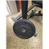 Image 4 : Adjustable AresFit Bench, Squat Rack, Rogue Weight Plates, Barbell, Medicine Ball