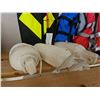 Image 4 : 3 Life Jackets, 3 Boat Fenders, Coleman PowerPack Propane Stove