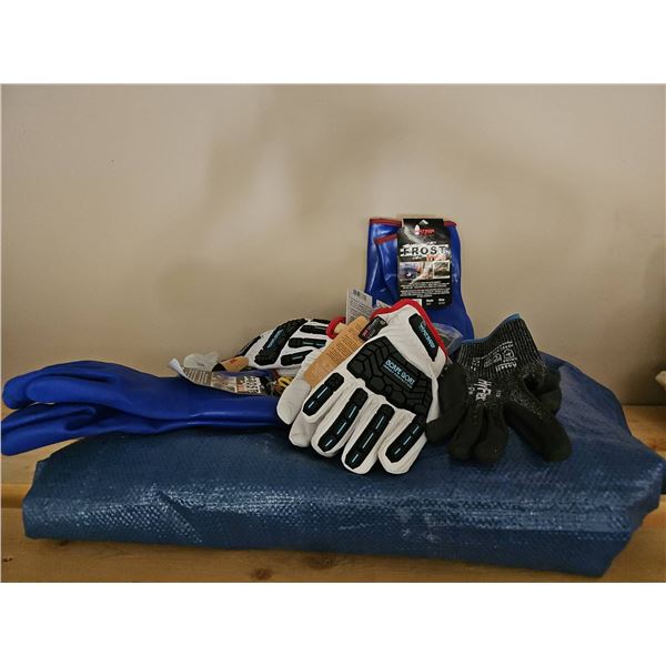 Work Gloves: Walton Frost Free, Watson Scape Goat, HyFlex, With Blue Mat