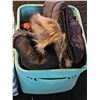 Image 4 : Outdoor Gear and Clothing in Storage Bins, Includes Gloves and Sun Protection
