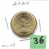 Image 1 : 2024 Canadian Loonie PROOF